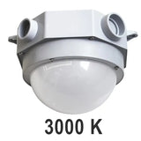 Globe marin 6" - 25 W - 100-277 V - 30 K, gris givré, intensité variable 0-10 V