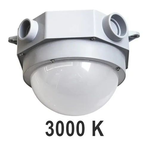 Globe marin LED 25W, gris givré, 3000K, étanche IP65, pour éclairage commercial et industriel.