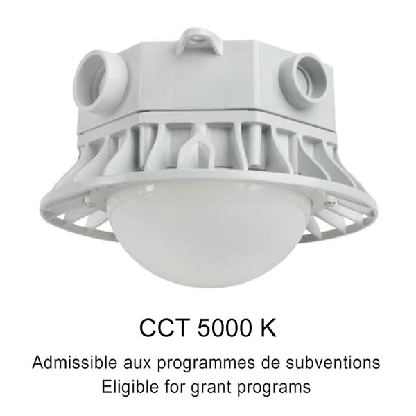 Globe Marin 6" – 20W 100-277V 5000K