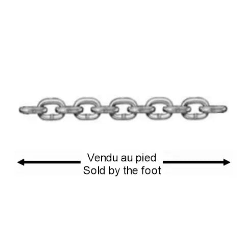 Chaine en acier inoxydable de transport Grade T-316 - 1/4" - Vendu au pied